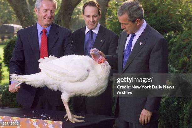 President George W. Bush officially pardons Liberty the turkey during a ceremony in the Rose Garden of the White House. The turkey will spend the...