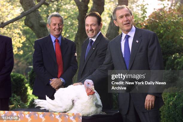 President George W. Bush officially pardons Liberty the turkey during a ceremony in the Rose Garden of the White House. The turkey will spend the...