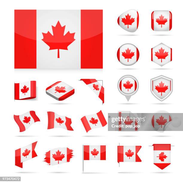 illustrations, cliparts, dessins animés et icônes de canada - drapeau icon set vector brillant - us coin