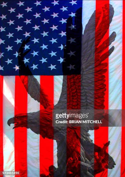 american bald eagle with stars spangled banner - american flag eagle bildbanksfoton och bilder