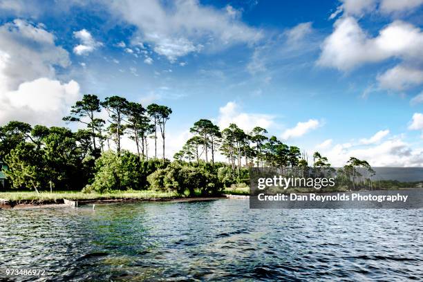 tropical climate in florida - pensacola beach stock-fotos und bilder