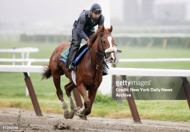 Reverberate runs the track during a morning workout at Belmont Park in Elmont, L.I. The son of 1995 Belmont Stakes winner Thunder Gulch, Reverberate...