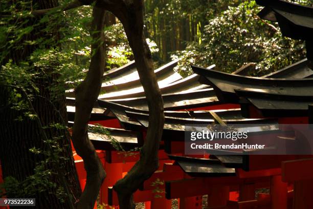 mystic gates - inari shrine stock pictures, royalty-free photos & images