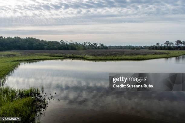 Shellmound Cedar Key Cedar Key Light Photos and Premium High Res Pictures - Getty Images
