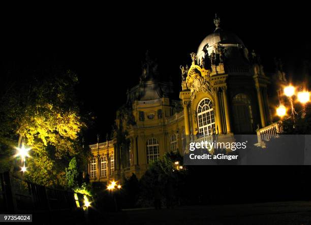 museum of hungarian agriculture - vajdahunyad castle stock pictures, royalty-free photos & images