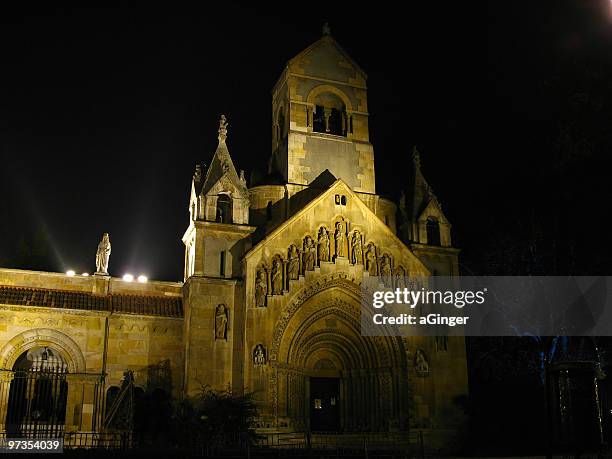 church by night - vajdahunyad castle stock pictures, royalty-free photos & images