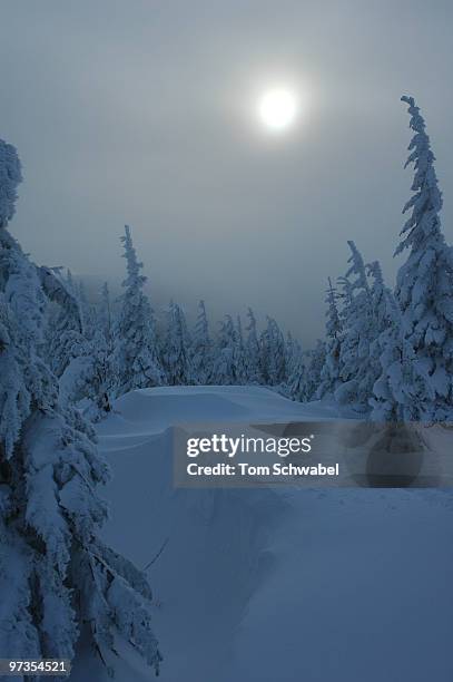 ghost ridge - mt hood national forest - fotografias e filmes do acervo