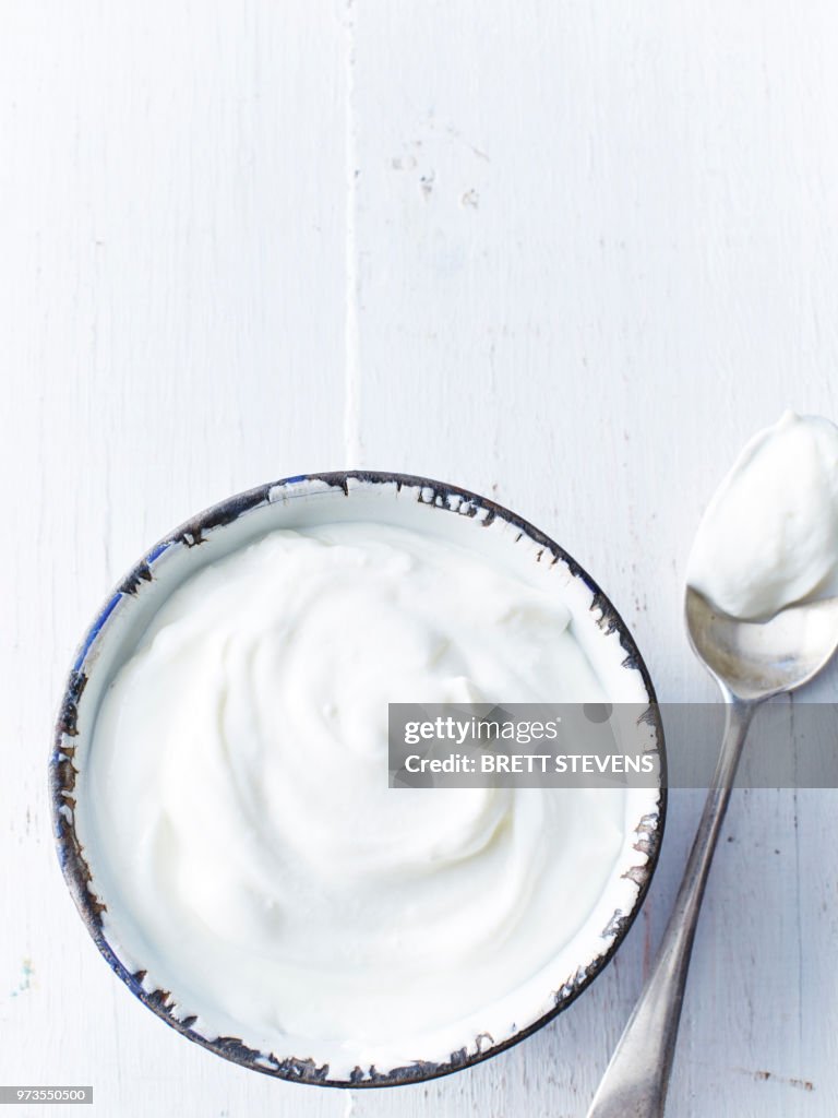 Low fat greek yogurt