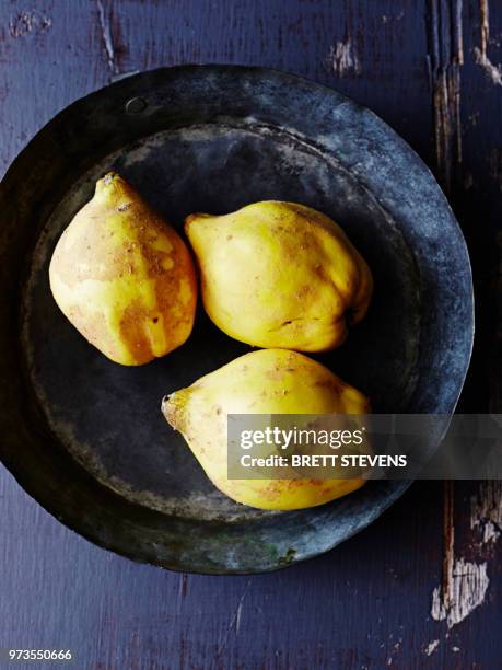 still life of three quinces in metal pan, overhead view - kweepeer stockfoto's en -beelden