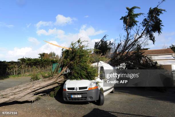 View taken on February 28 in La Rochelle, western France, shows a van crushed by a tree after hurricane-force winds, surging seas and driving rain...