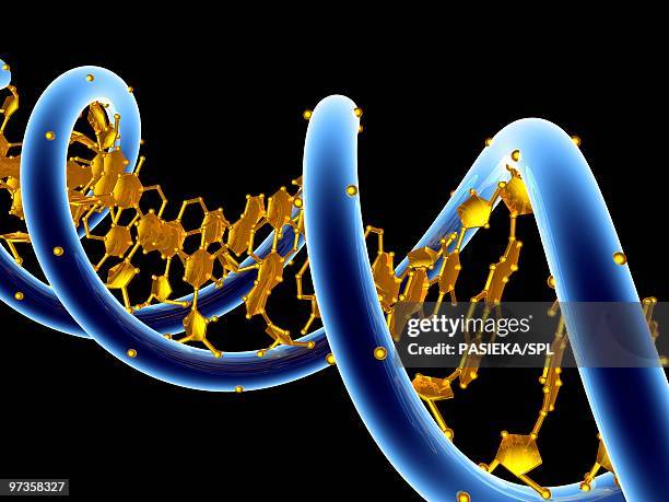 dna molecule, artwork - adenine stock illustrations