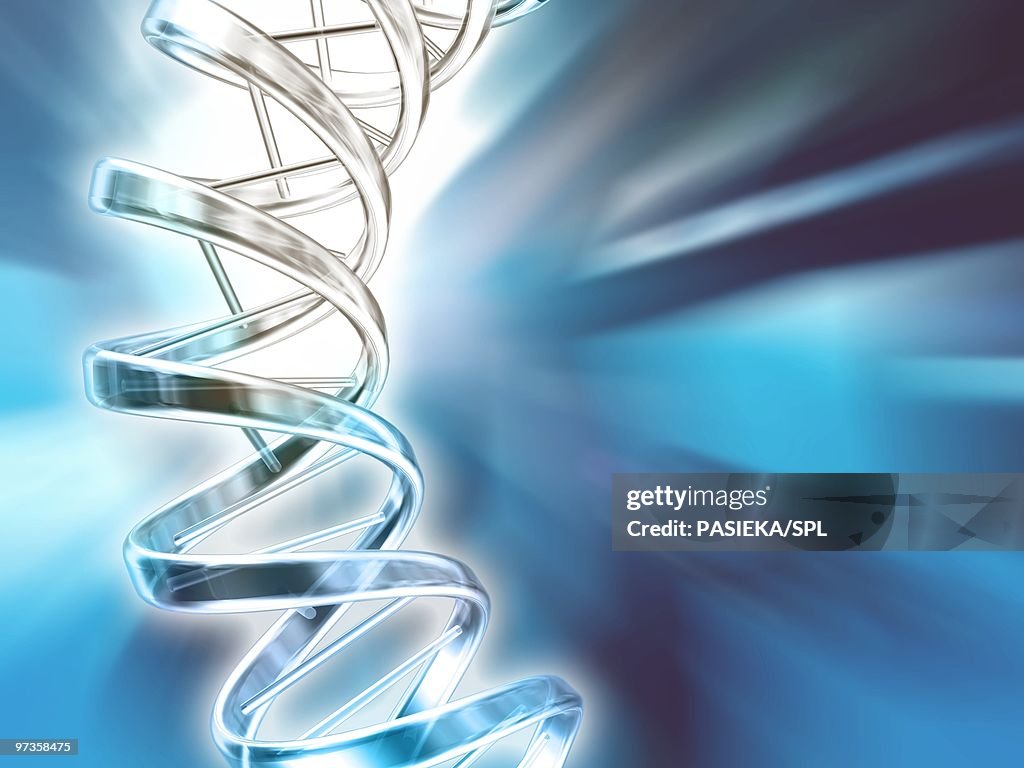 DNA molecule, artwork