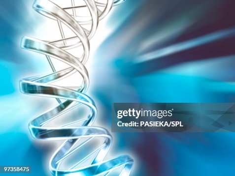 DNA molecule, artwork DNA molecule, artwork