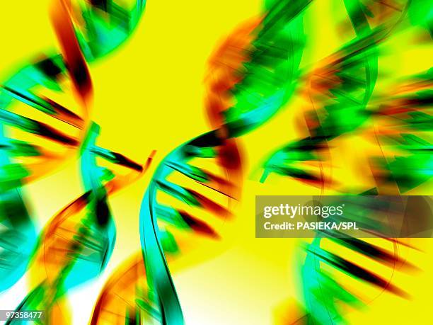 dna molecules, artwork - adenine stock illustrations