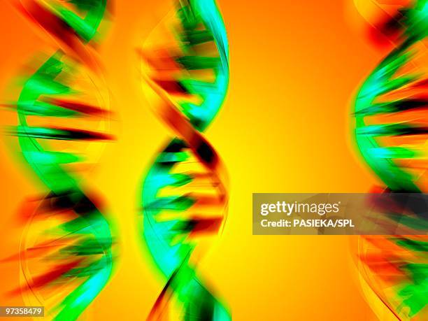 dna molecules, artwork - adenine stock illustrations