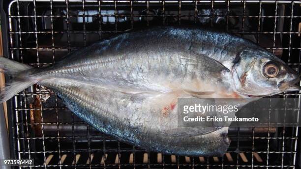 farmer's market: horse mackerel cut open and dried - eriko tsukamoto foto e immagini stock