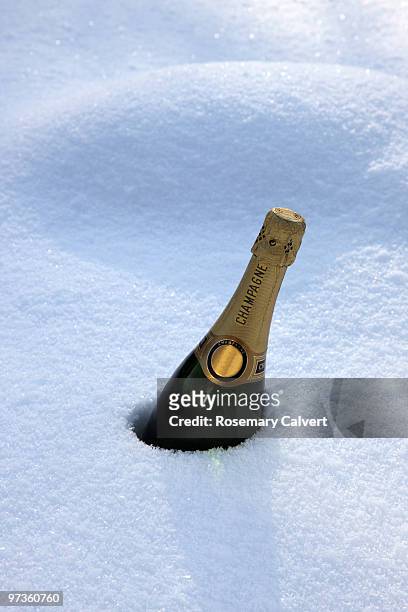 bottle of champagne chilling in deep snow - haslemere stock pictures, royalty-free photos & images
