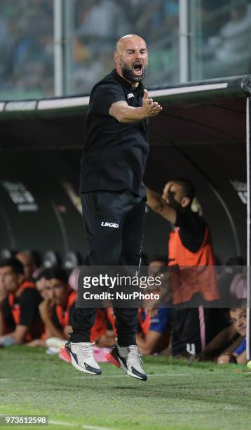 Palermo coach ROBERTO STELLONE reacts during the serie B playoff match final between US Citta di Palermo and Frosinone Calcio at Stadio Renzo Barbera...