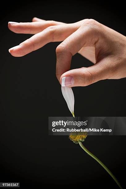 young woman's hand plucking petal from flower - 花びら占い ストックフォトと画像