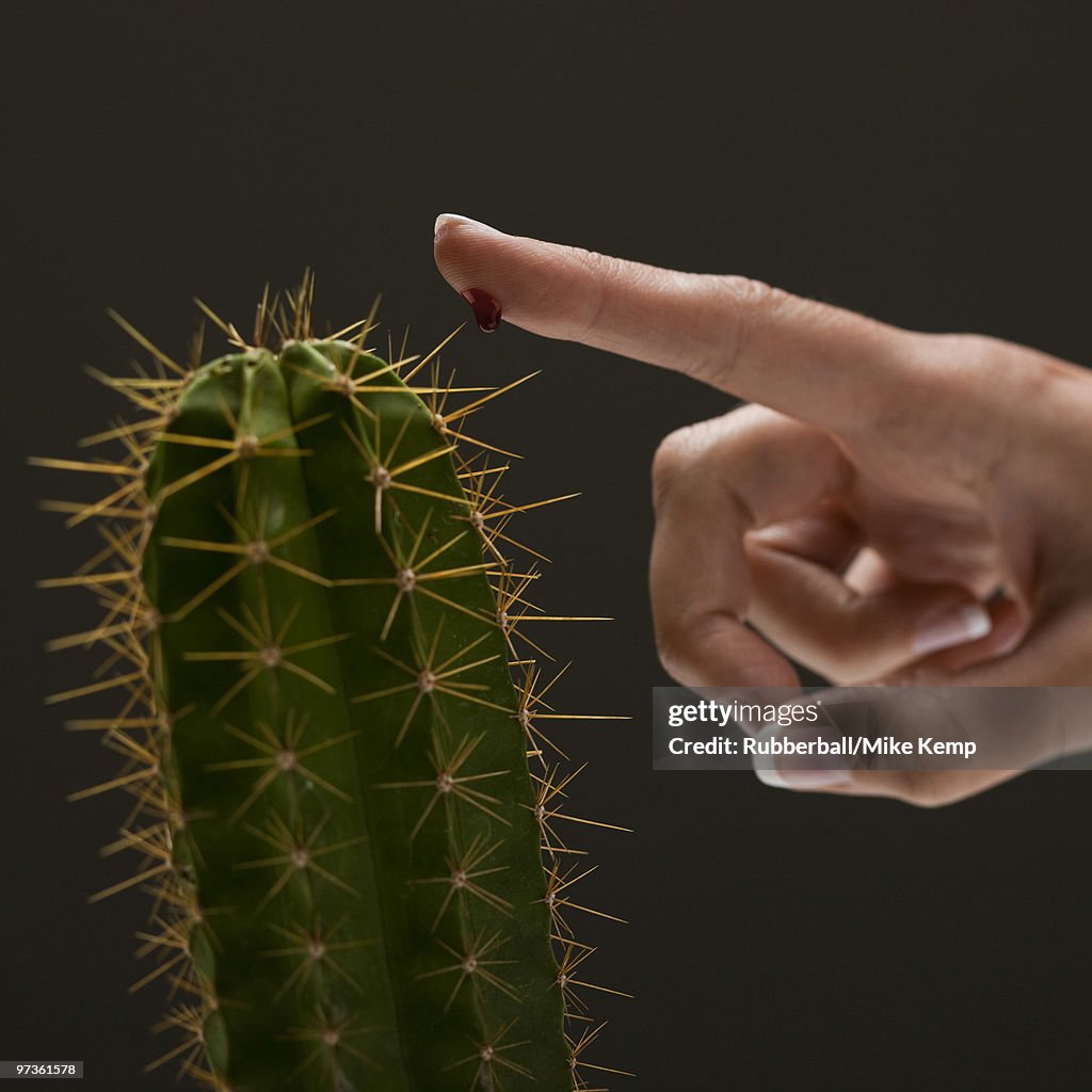 Young woman's hand touching cactus spike