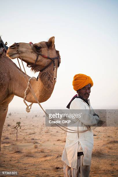 indian man and camel - itinerant stock pictures, royalty-free photos & images