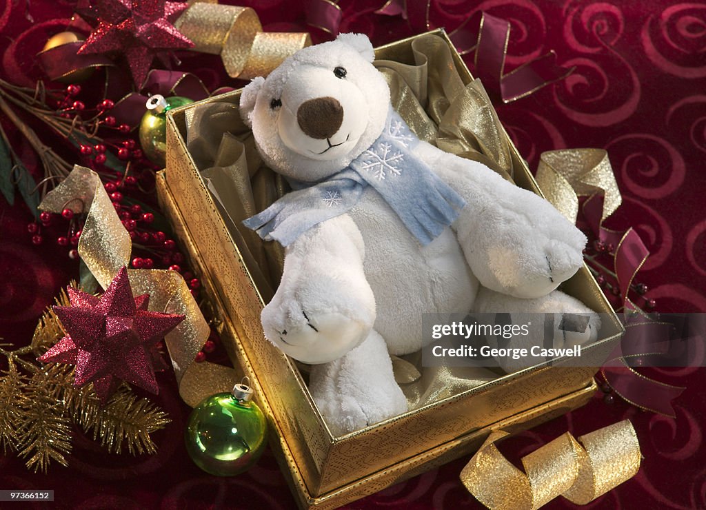 Christmas Bear