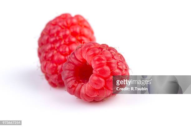fresh raspberry isolated on a white background - hallon bildbanksfoton och bilder
