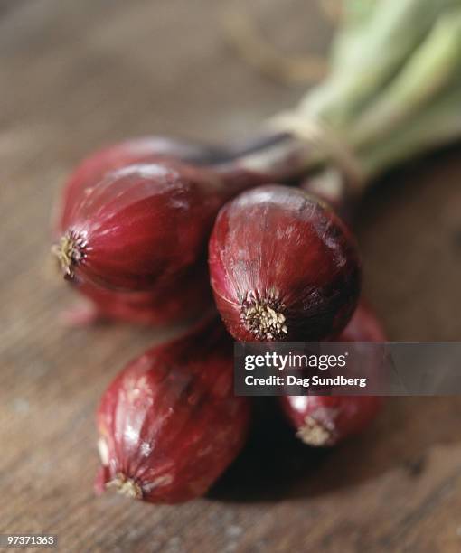 red onion - dag stock pictures, royalty-free photos & images