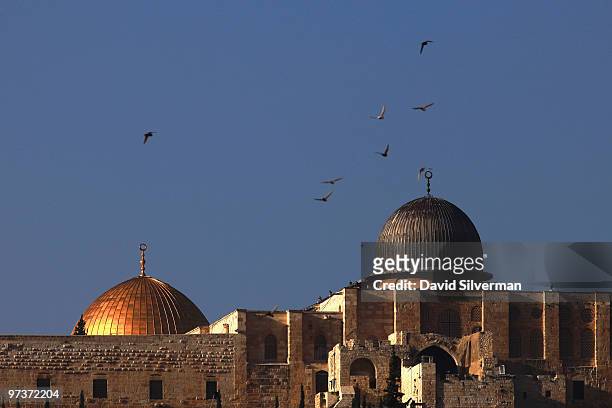 Birds fly over al-Aqsa mosque and the golden Dome of the Rock Islamic shrine on March 2, 2010 as seen from the East Jerusalem neighborhood of Silwan....