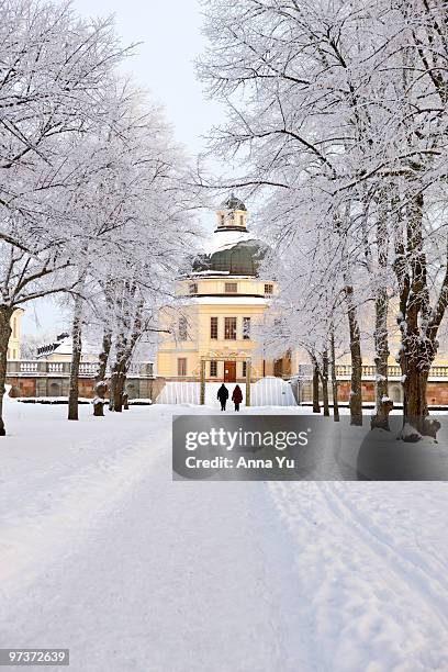 drottningholm palace (sweden) in winter - drottningholm palace stock-fotos und bilder