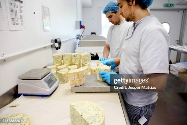 Block Injection Cheese 16 Cheese Block Package Stock Photos, High-Res Pictures, and Images ...