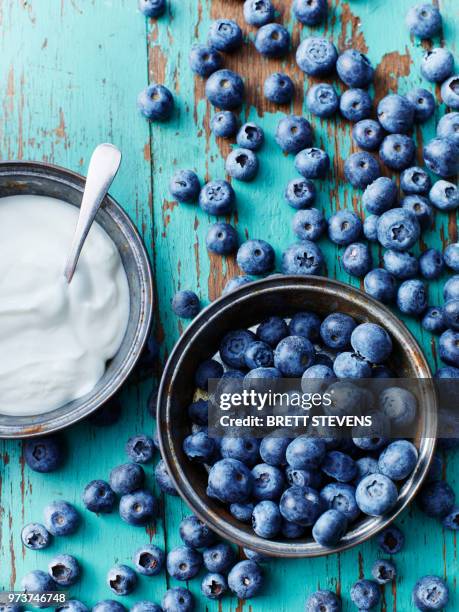 still life with bowl of blueberries and yogurt, overhead view - blueberries fruit fotografías e imágenes de stock