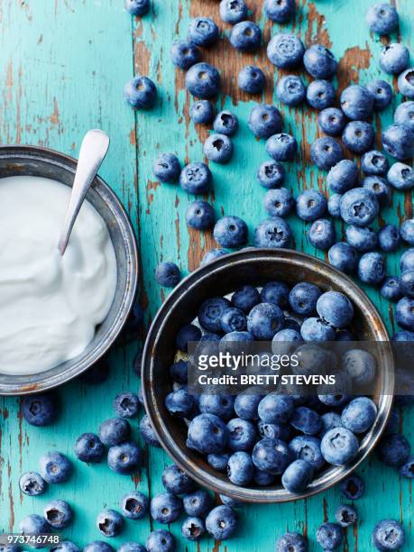 still life with bowl of blueberries and yogurt, overhead view - blue bowl foto e immagini stock