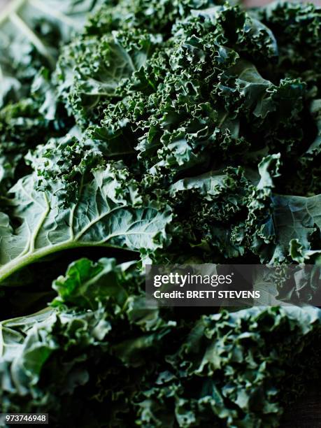 kale, close-up, full frame - repolho imagens e fotografias de stock