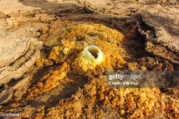 Bubbling hot mineral pools of the Danakil Depression in Northern Ethiopia.