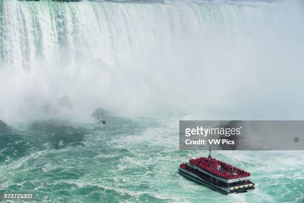 Close up of the Hornblower Cruises taking people into the mist of Niagara Falls, Canada.