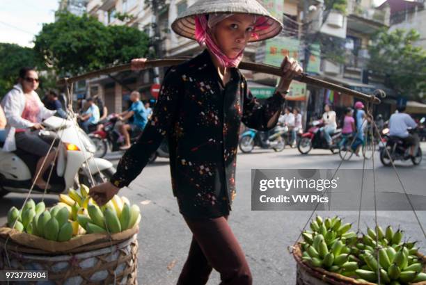 Bananas loaded onto a bicycle to be sold in Hanoi, Vietnam.