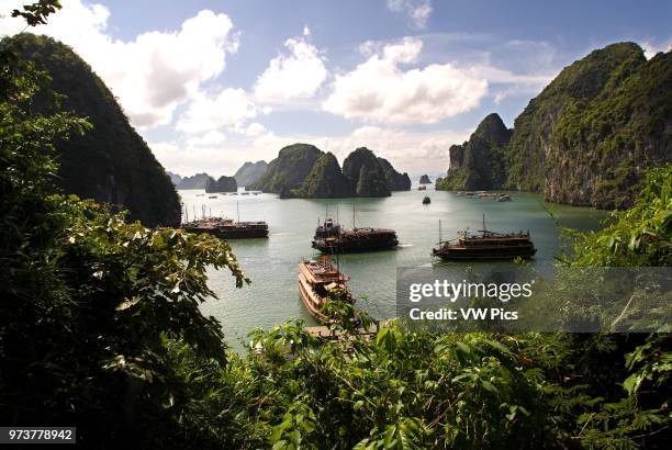 Ships sailing in the Halong Bay near Hang Sung Sot cave. A climber points to limestone cliffs in Halong Bay, Vietnam. Junks at Halong Bay in Viet Nam...