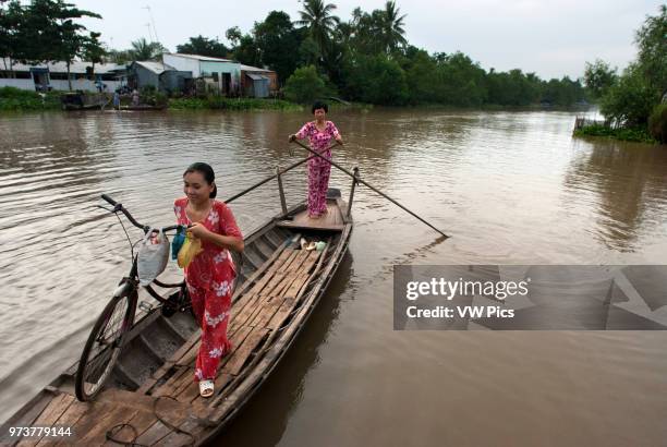 Woman with bicycle being ferried by sampan across a tributary of the Mekong River in the delta region, Mekong Delta, Vietnam. Woman paddlling woman...