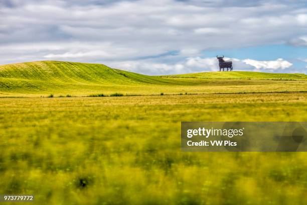 Osborne bull on a wheat field, long exposure shot, Castilleja del Campo, Seville, Spain. The Osborne bull is a 14-metre high blackÊsilhouettedÊimage...