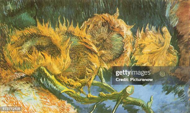 Four Cut Sunflowers, Van Gogh, Vincent Willem, 1887 .