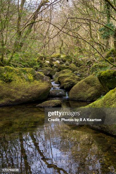 the afon dulyn near tal-y-bont, conwy valley, north wales - bont stock pictures, royalty-free photos & images