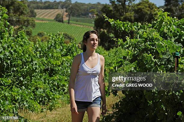 This photo taken on December 31, 2009 shows Kate Pestell walking through vineyards in the internationally renowned Margaret River wine region in the...