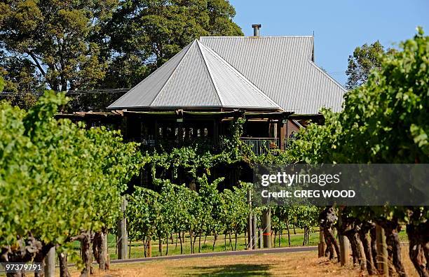 This photo taken on January 3, 2010 shows vineyards leading to the Vasse Felix Winery cellar door and restaurant complex , which is the oldest winery...