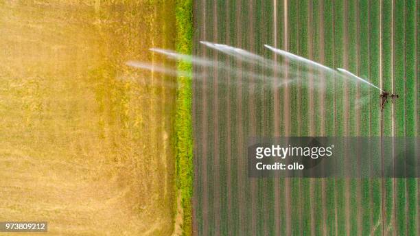 landwirtschaftlichen sprinkler, weizenfeld - water sprayer stock-fotos und bilder