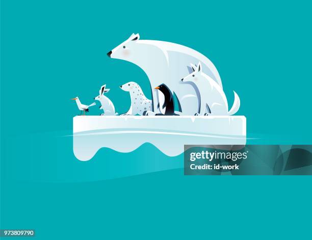 eisbär und freunde stehen auf eisscholle - pinguine stock-grafiken, -clipart, -cartoons und -symbole