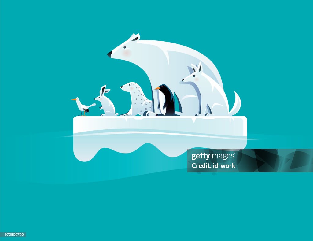 Polar bear and friends standing on ice floe