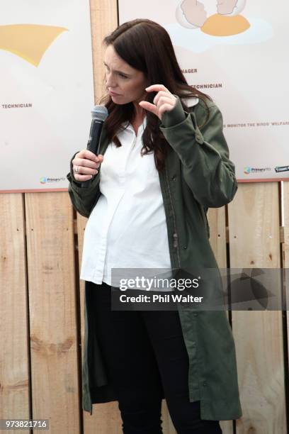 New Zealand Prime Minister Jacinda Ardern speaks to children during a walkabout at the Mystery Creek Fieldays on June 14, 2018 in Hamilton, New...