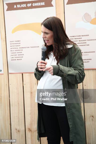 New Zealand Prime Minister Jacinda Ardern speaks to children during a walkabout at the Mystery Creek Fieldays on June 14, 2018 in Hamilton, New...