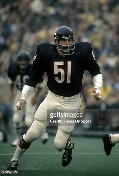 Linebacker Dick Butkus of the Chicago Bears in action against the Pittsburgh Steelers during an NFL football game Septermber 19, 1971 at Soldier...